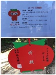 北本市非公認ゆるキャラぴこりんのイラストと説明が乗った展示物と、トマトの形の絵馬の写真