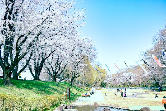 子供公園