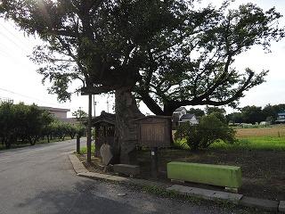(写真)芭蕉句碑