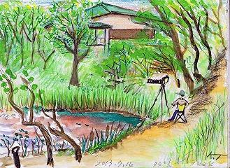 (イラスト)自然学習センター内散歩コース