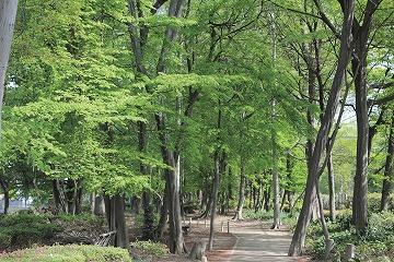 (写真)中央緑地踏切そば