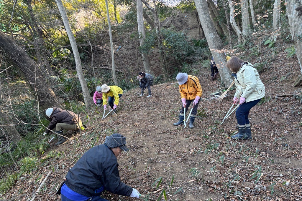 ボランティア活動の様子