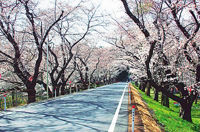 (写真)城ヶ谷堤