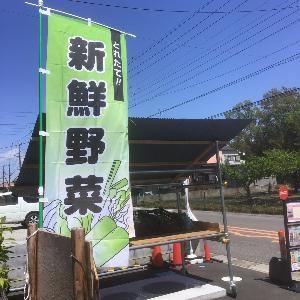 カフェプラム野菜販売