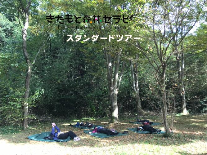 北本市森林セラピーのヨガツアーの写真です