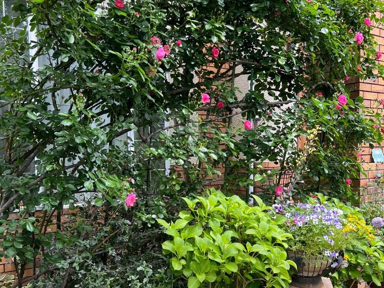 きたもとオープンガーデン2025写真3