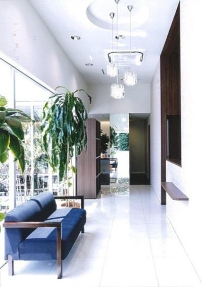 店内は白を基調とした内装で、大きな窓から入る暖かい日差し、青いソファ、緑の観葉植物など清潔感溢れる店内の写真