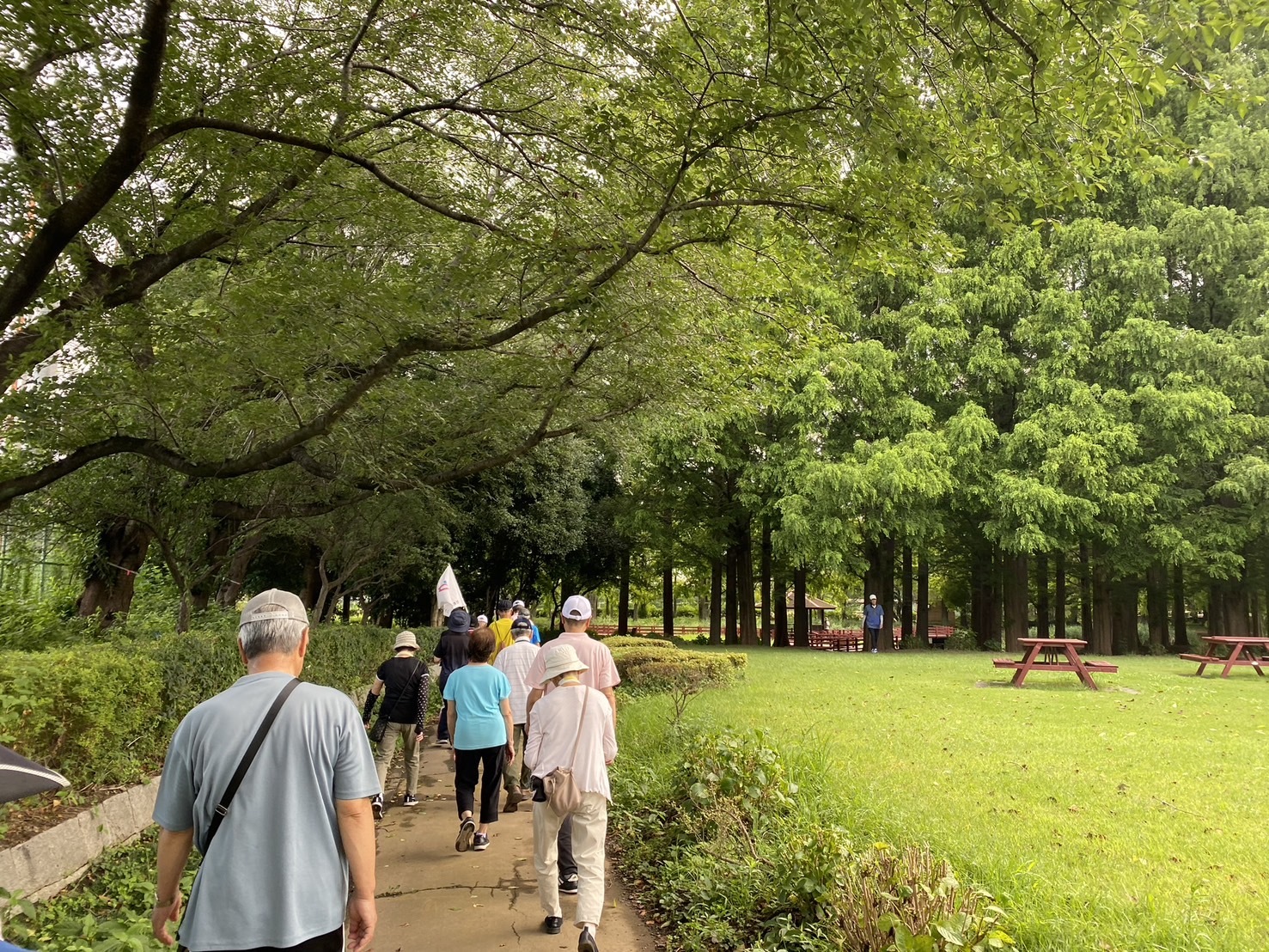 総合公園の桜の木の下を歩く人たち