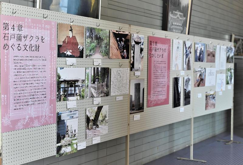 文化センターホールでの展示の様子