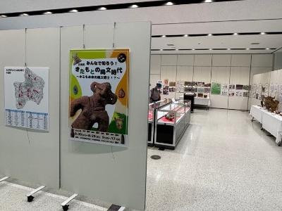 北本の縄文の展示の様子