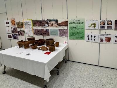 デーノタメ遺跡の出土品とパネル展示