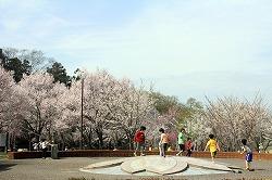 高尾さくら公園