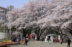子供公園