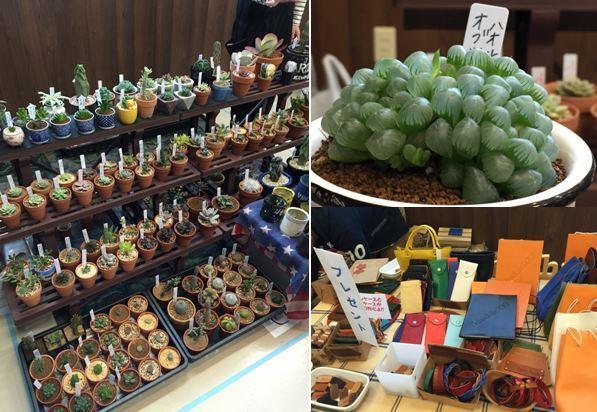鉢植えのサボテンなどの多肉植物がたくさん並べられている様子の写真と、オレンジや青、赤など様々な革製品が並んでいる様子の写真