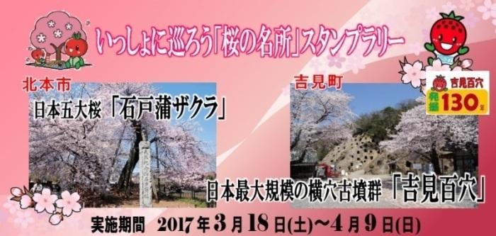 いっしょに巡ろう「桜の名所」スタンプラリーのポスター