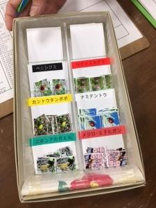 長方形の箱の中に種類別に6種類のシールを並べた写真