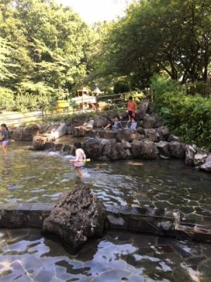 子どもたちが公園内の浅い池で水遊びを楽しんでいる写真