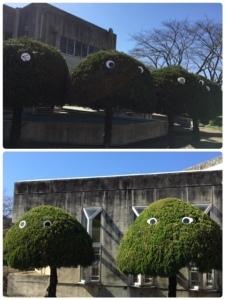 公園内の大きな木に目が飾られている様子の写真