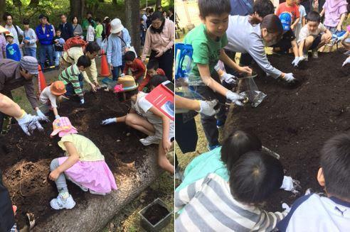 子供たちが土をかき分けて昆虫を探す様子の写真