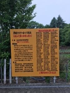 赤と黒色の文字が書かれているオレンジのボードが道の片隅に立っている写真