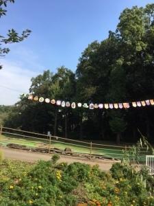 ロープにハロウィンの飾り付けがしてある自然豊かな公園内の写真