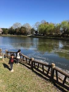 湖面に浮かんでいる散った花弁と子供2人の写真