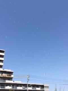 青空に向かってたくさんのシャボン玉が天に登っていく様子の写真