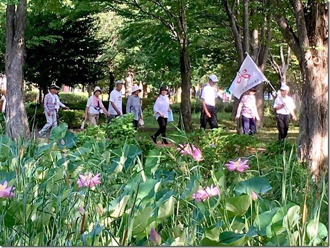 参加者達が公園の中を一列になって散歩している写真