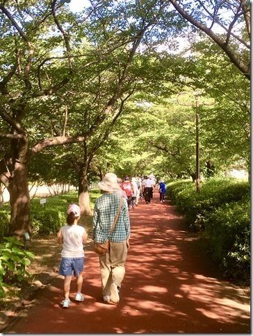 木々に囲まれた遊歩道を参加者達や親子連れの方が歩いている写真