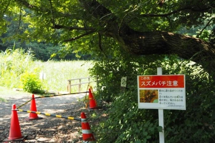 スズメバチ注意の看板と赤いポールで仕切られた森がある写真