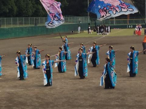 青のハッピを着た女性たちがよさこいを踊る写真