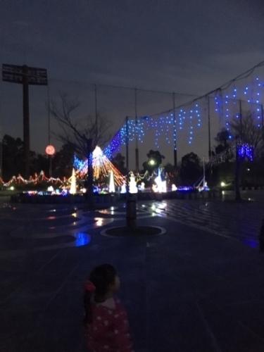 ライトアップされた公園のイルミネーションを小さな女の子が見ている写真