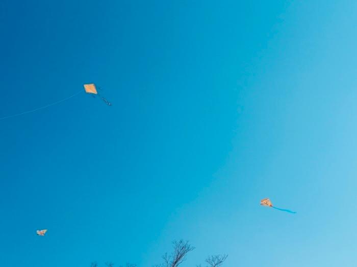 雲1つない青空に空高く凧が3枚上がっている写真