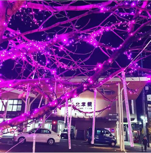木に飾られたピンク色のイルミネーション越しに見える北本駅の外観写真