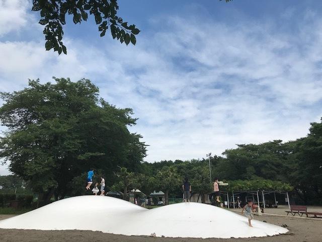 白い雲が広がる中、楽しそうにふわふわドームで飛び跳ねるたくさんの子供たちの写真