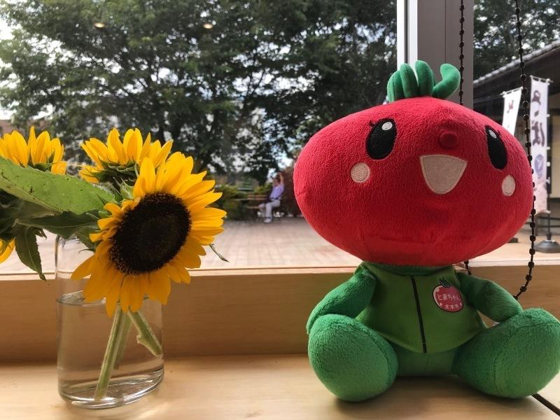 ガラス瓶に入ったヒマワリと、とまちゃんのぬいぐるみが窓側に置かれ、窓から外の風景が写っている写真