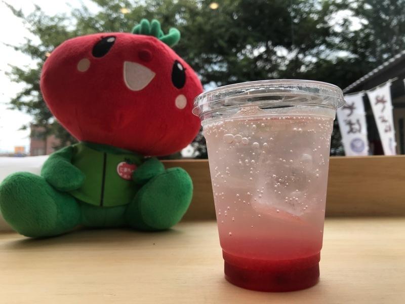 とまちゃんと自家製プラムソーダの写真