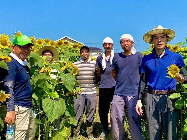 農業青年会議所の6名の方がひまわり畑にいる写真
