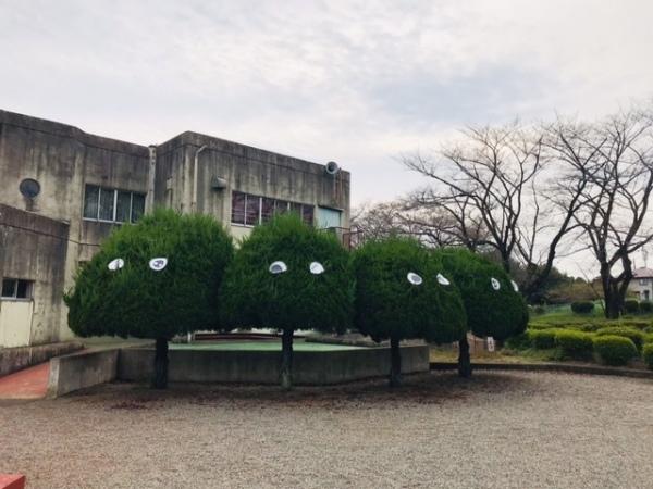 4本の木に両目をつけて木のオバケを表現している写真