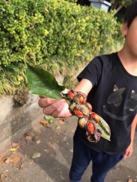 木の実を持っている男の子の写真
