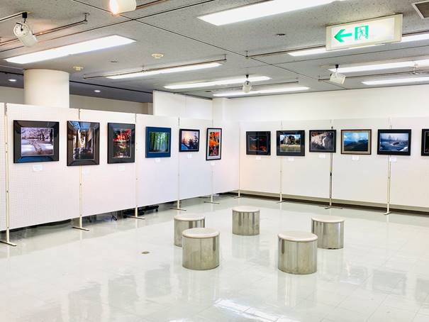 パネルに展示された数々の写真