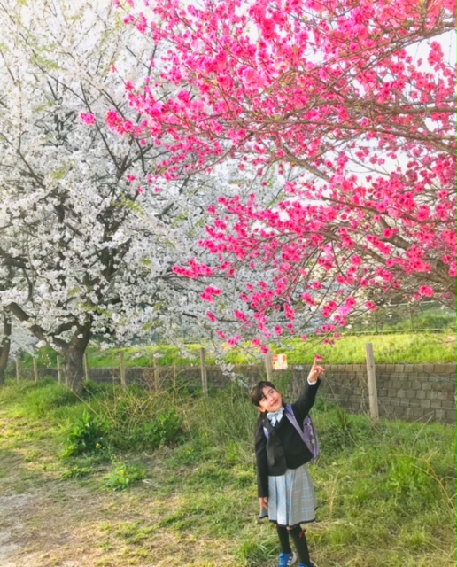 濃いピンクの桜の木の下に立つ小宮山さんのお子さん