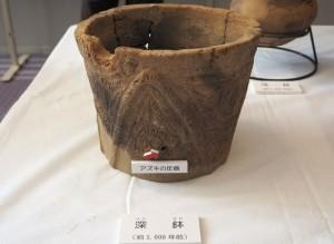 白いテーブルの上に、深鉢土器が置いてあり表面にあるアズキの圧痕箇所には赤い矢印が示されている様子の写真