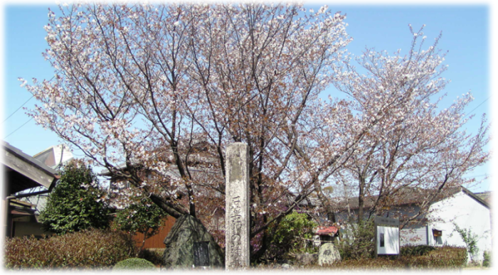 古い家の前にある5分咲きほどの桜の木と石碑の写真