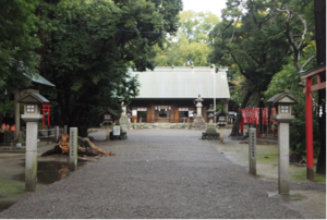 木で囲まれて真ん中に広い参道があり奥に社殿のある神社の写真