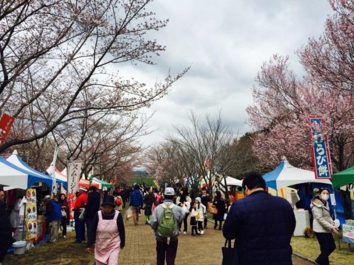 高尾さくら公園内に出店が並び多くのお客様でにぎわっている写真