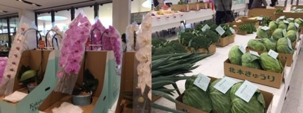 白やピンクの立派な胡蝶蘭と北本きゅうりと書かれた箱に入ったキャベツやブロッコリーなどの新鮮な野菜の写真