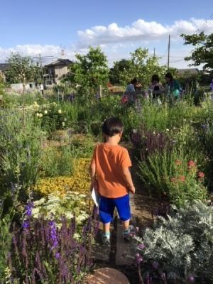 オレンジ色の洋服を着た男の子がいる黄色や紫の花が咲く庭の写真