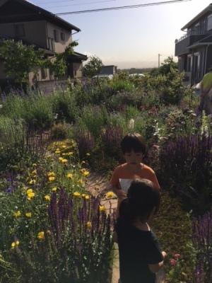 男の子と女の子が黄色や紫の花の咲く庭にいる写真