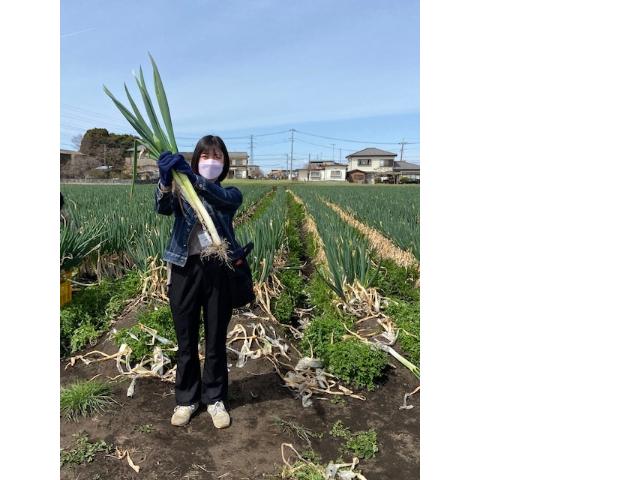 ネギ畑に立ち収穫したネギを持つ岩倉さん